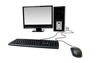 電腦與計算機 數字時代的孿生伙伴